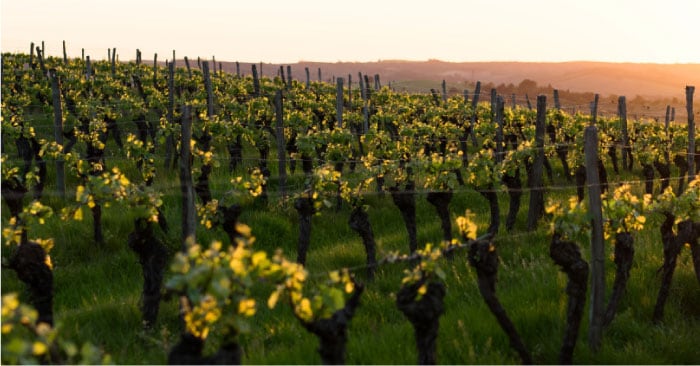 コワーキングスペースのイメージ
