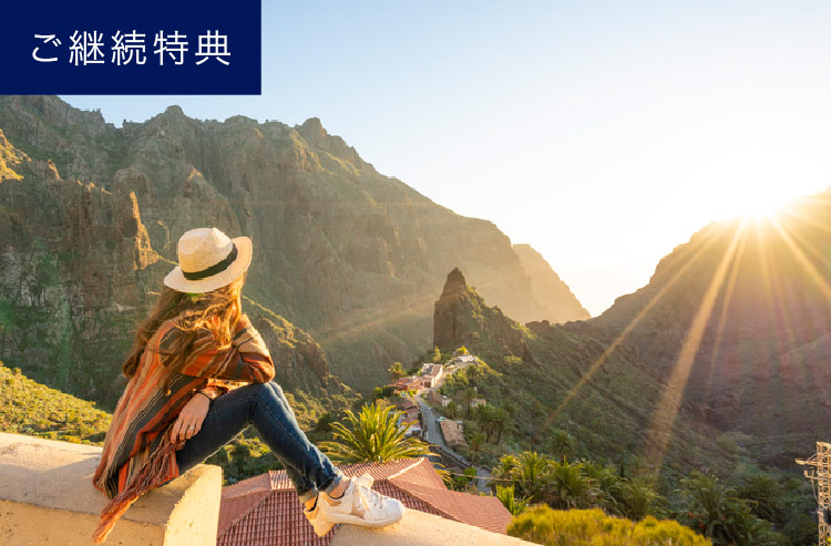 トラベルクレジット