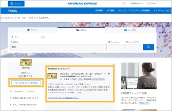 「現在有効なトラベルクレジット」の内容を確認