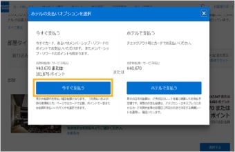 「今すぐ支払う」を選択
