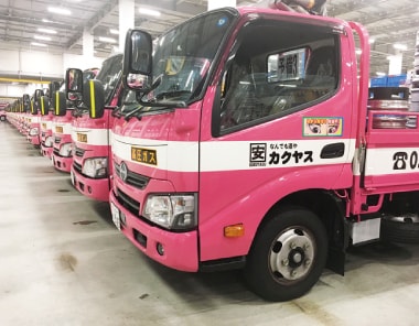 Pink trucks lined up in warehouse