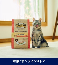 対象：オンラインストア