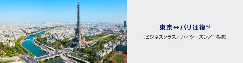 東京↔パリ往復*3（ビジネスクラス／ハイシーズン／1名様）