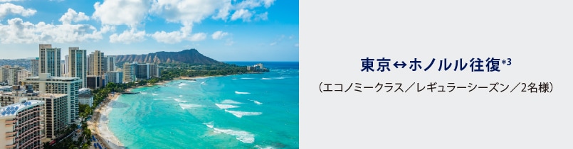 東京↔ホノルル往復*3（エコノミークラス／レギュラーシーズン／2名様）