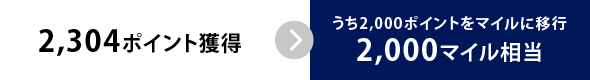 2,304ポイント獲得
うち2,000ポイントをマイルに移行2,000マイル相当
