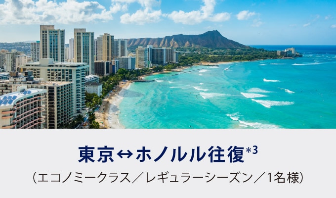 東京↔ホノルル往復*3（エコノミークラス／レギュラーシーズン／2名様）