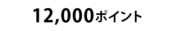 12,000ポイント