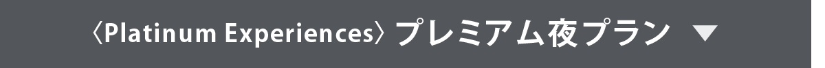 〈Platinum Experiences〉プレミアム夜プラン