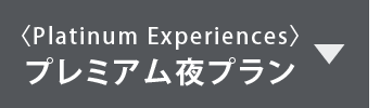 〈Platinum Experiences〉プレミアム夜プラン