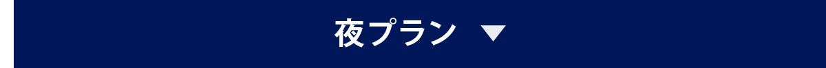 夜プラン