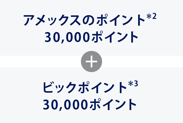アメックスのポイント*2 30,000ポイント＋ビックポイント*3 30,000ポイント