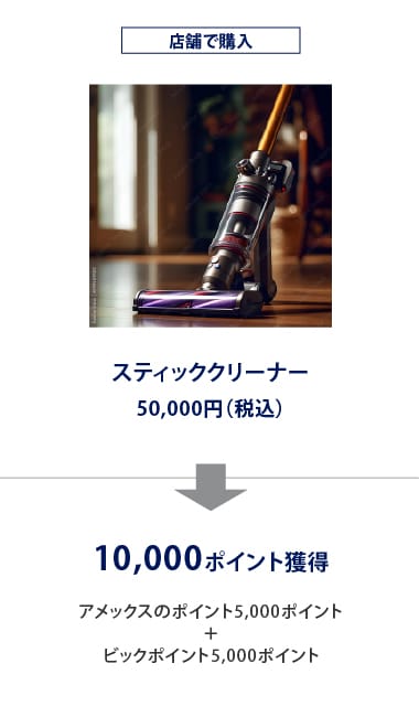 店舗で購入
スティッククリーナー
50,000円（税込）
10,000ポイント獲得
アメックスのポイント5,000ポイント
＋
ビックポイント5,000ポイント
