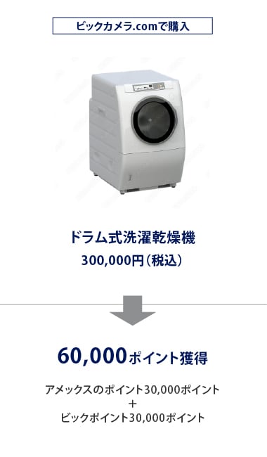店舗で購入
ドラム式洗濯乾燥機
300,000円（税込）
60,000ポイント獲得
アメックスのポイント30,000ポイント
＋
ビックポイント30,000ポイント