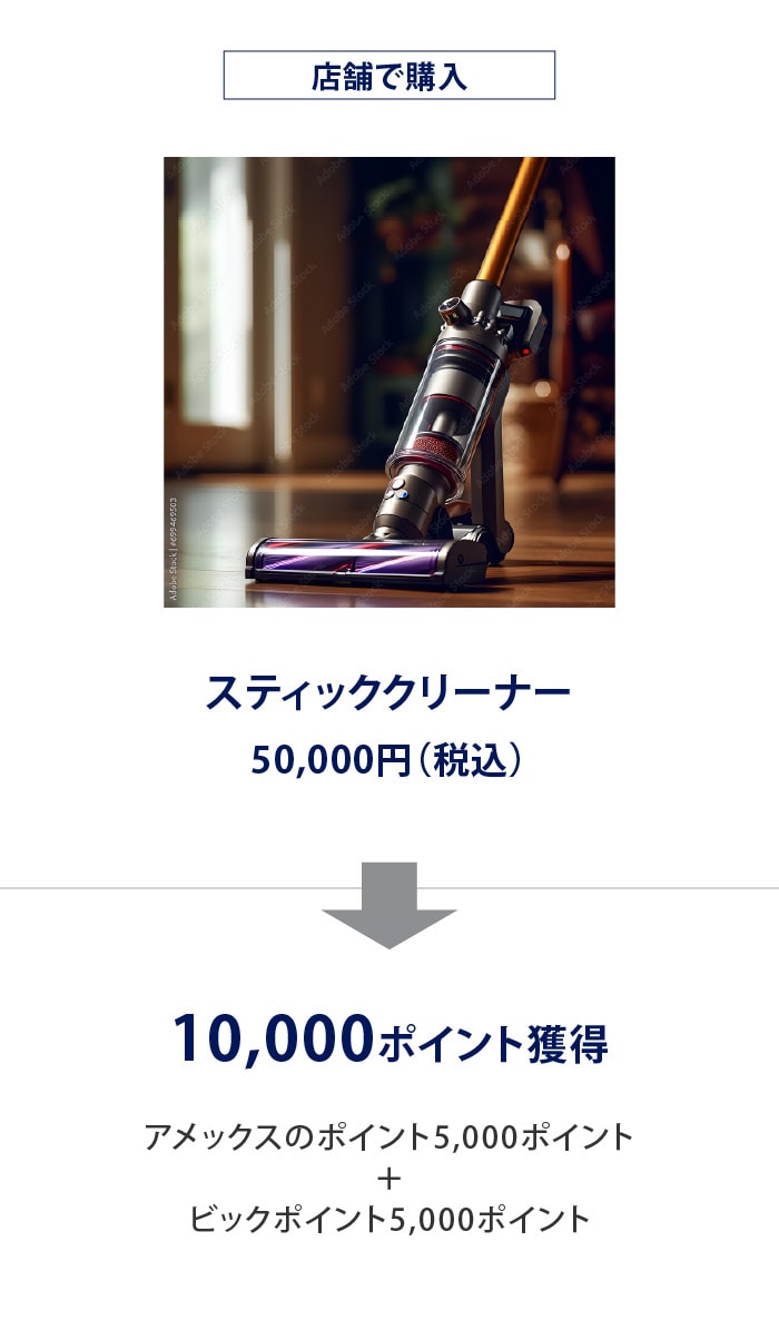 店舗で購入
スティッククリーナー
50,000円（税込）
10,000ポイント獲得
アメックスのポイント5,000ポイント
＋
ビックポイント5,000ポイント