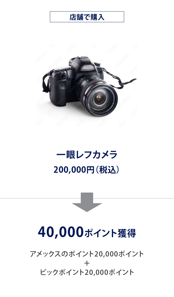 店舗で購入
一眼レフカメラ
200,000円（税込）
40,000ポイント獲得
アメックスのポイント20,000ポイント
＋
ビックポイント20,000ポイント