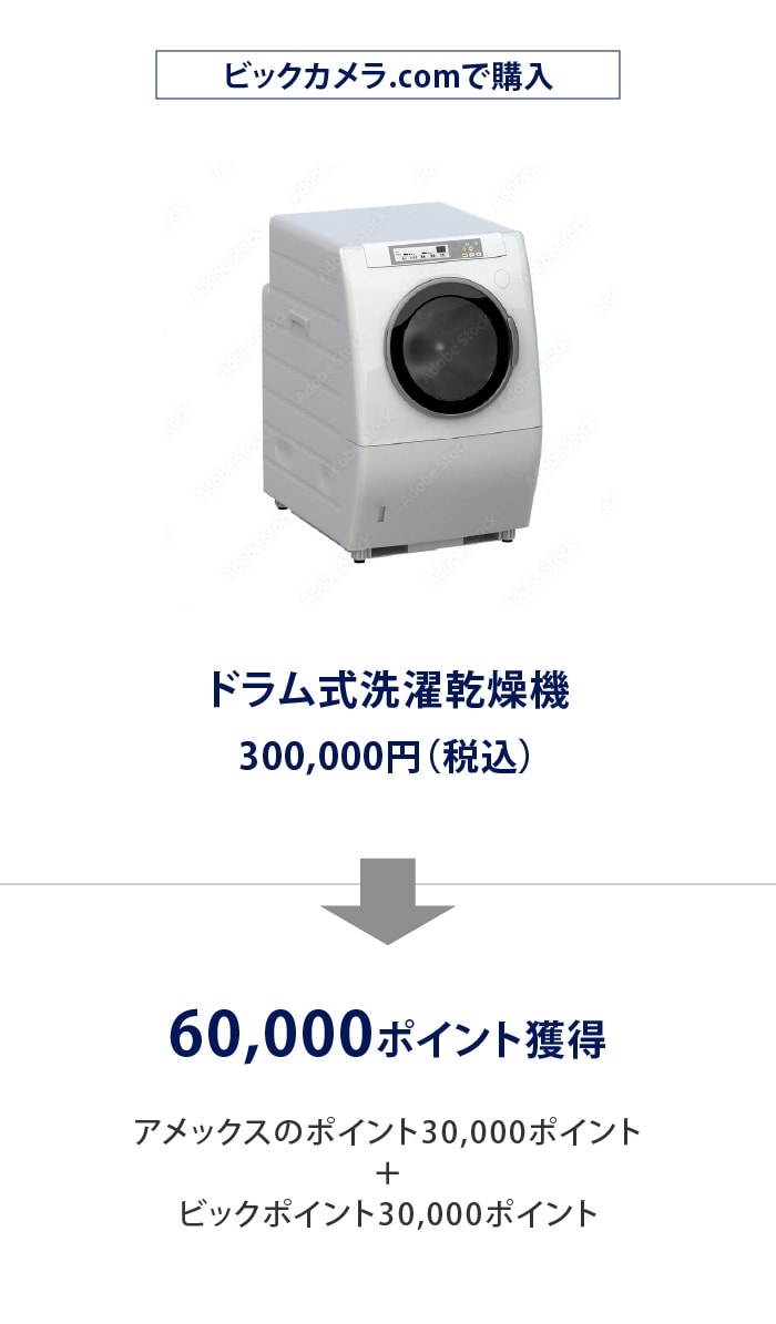 店舗で購入
ドラム式洗濯乾燥機
300,000円（税込）
60,000ポイント獲得
アメックスのポイント30,000ポイント
＋
ビックポイント30,000ポイント