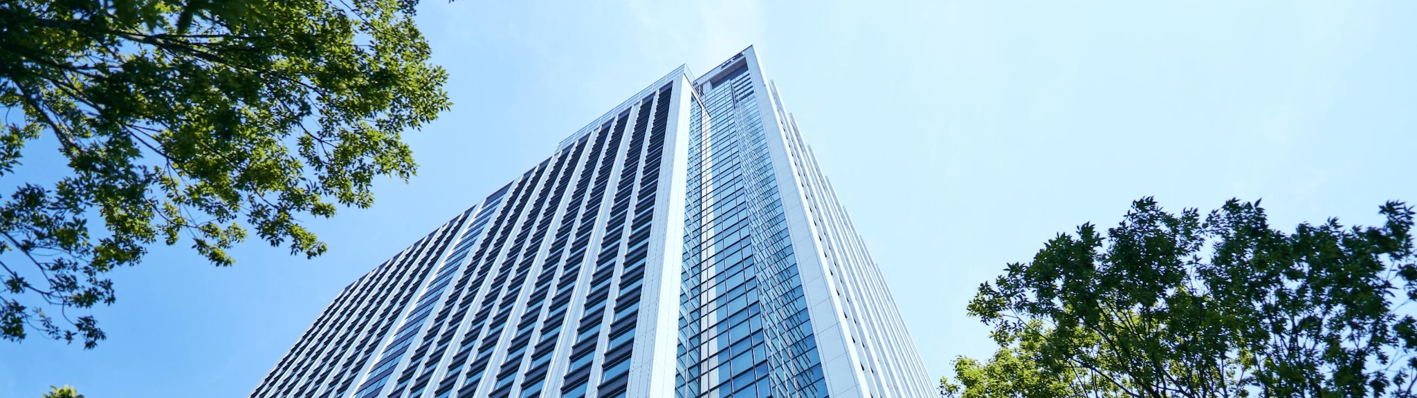 当社の旅行業登録について