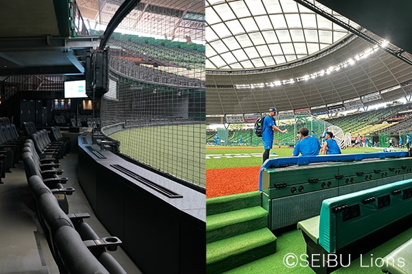 練習見学会付き観戦チケット