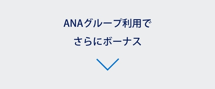 ANAグループ利用でさらにボーナス