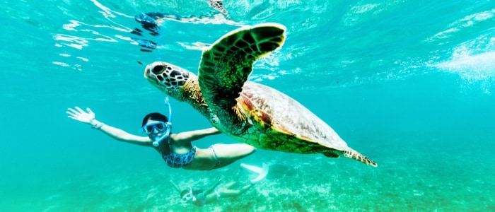 溜まったポイントで沖縄へ