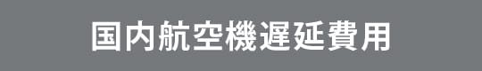 国内航空機遅延費用