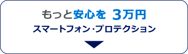 スマートフォン・プロテクション