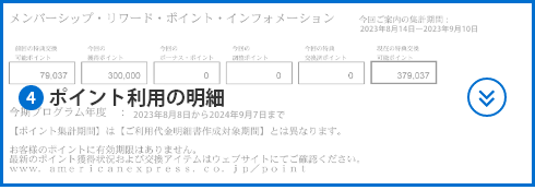 ④ポイント利⽤の明細