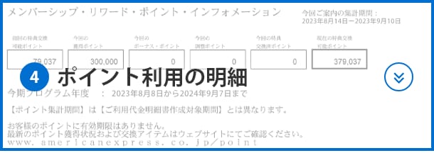 ④ポイント利⽤の明細