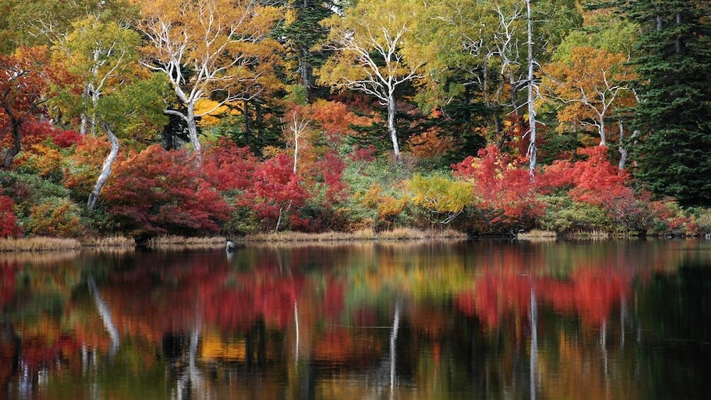 水鏡のように紅葉を映す、神秘的な神仙沼の秋。