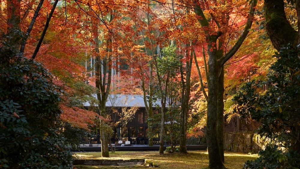 庭の紅葉に包まれる、特別な時間を過ごすダイニング。（ザ・リビング パビリオン by アマン）