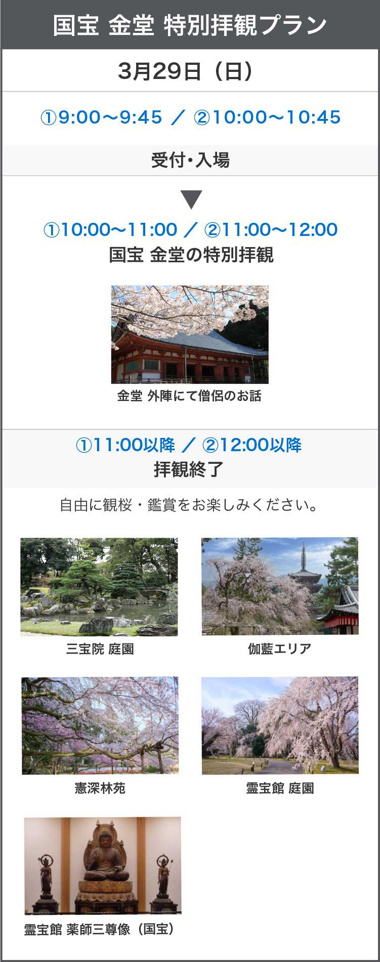 国宝 金堂 特別拝観プラン
3月29日（日）①9:00〜9:45 ／ ②10:00〜10:45受付・入場
①10:00〜11:00 ／ ②11:00〜12:00国宝 金堂の特別拝観
金堂 外陣にて僧侶のお話
自由に観桜・鑑賞をお楽しみください
①11:00以降 ／ ②12:00以降
拝観終了
自由に観桜・鑑賞をお楽しみください。
三宝院 庭園
伽藍エリア
憲深林苑
霊宝館 庭園
霊宝館 薬師三尊像（国宝）

