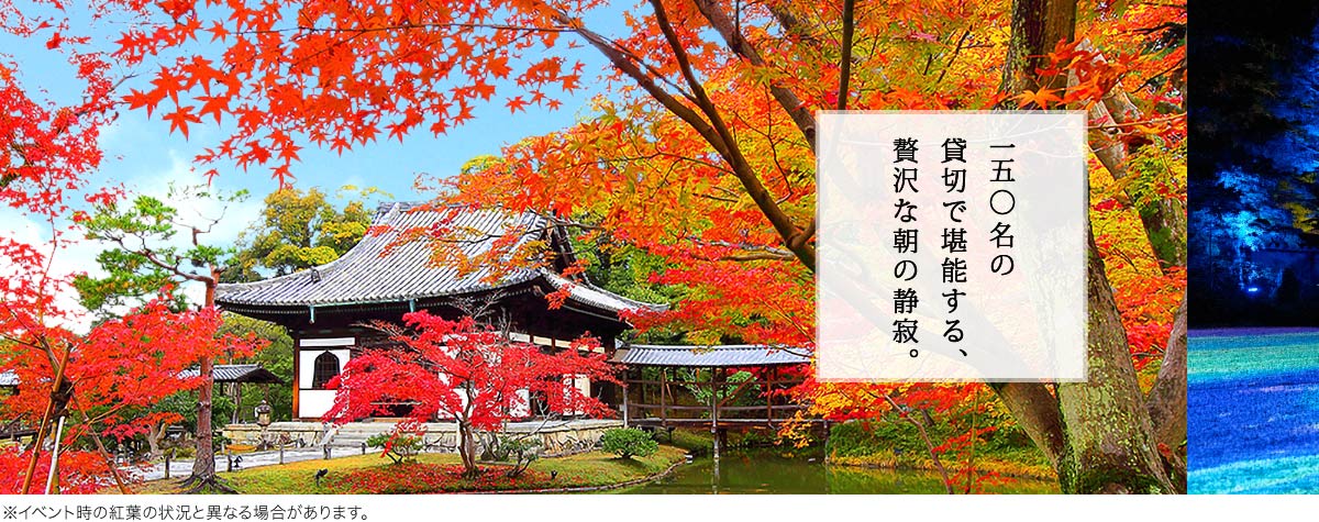 kodaiji2025-hero-carousel-pc-