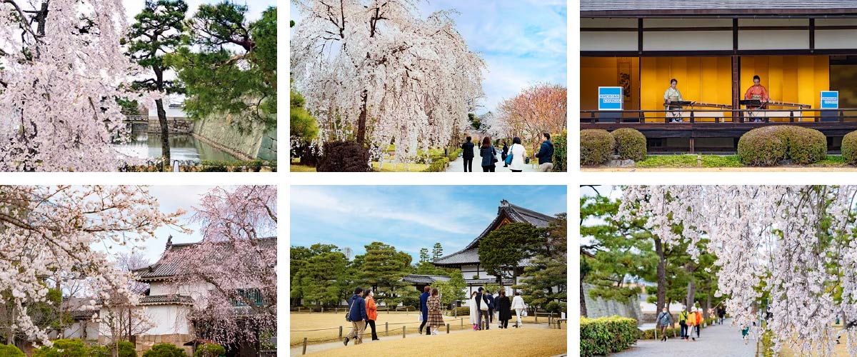 昨年のイベントの様子