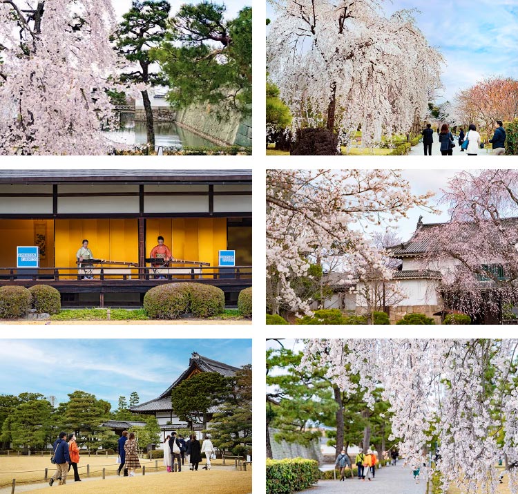 昨年のイベントの様子