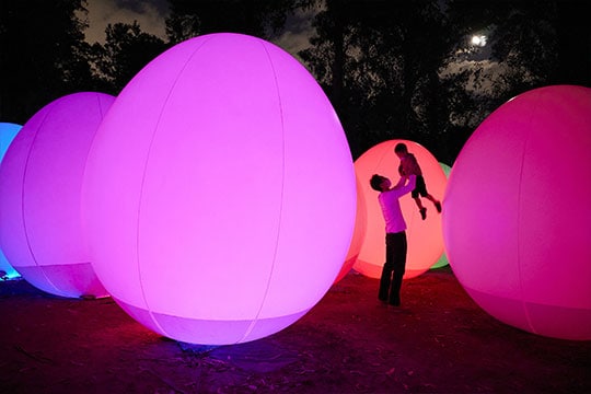 ボタニカルガーデン大阪