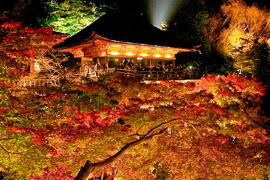 光に照らされ浮かび上がる伽藍と紅葉