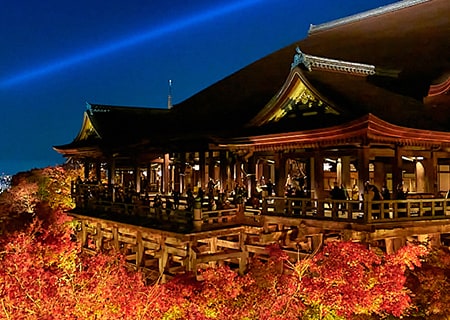 アメックスイベント 知新の扉 世界遺産 清水寺 夜間特別拝観