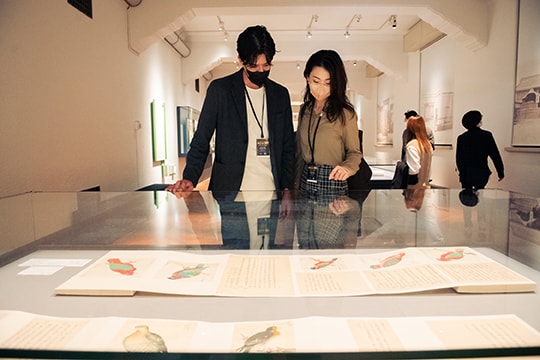 鑑賞を楽しむカード会員様