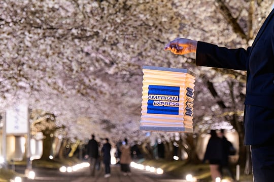 桜を愛でる文化が、これからも受け継がれるために