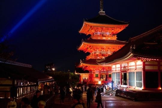 夜の世界をゆったりとビューイング