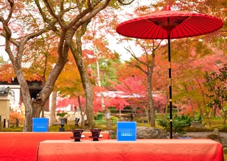 清水寺 秋のナイトビューイング 2023