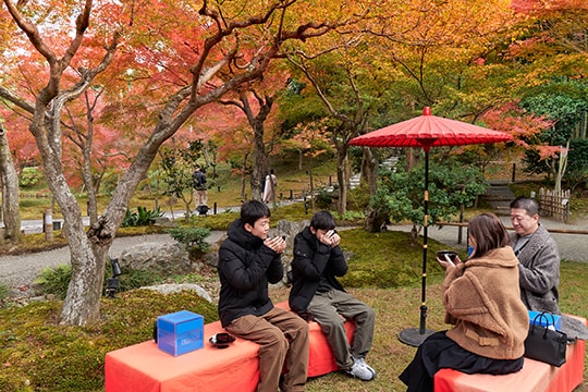 紅葉の高台寺 プレミアムアクセス Only for Amex