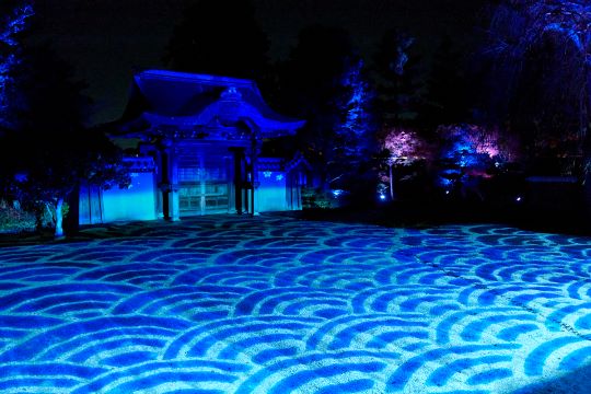 紅葉の高台寺 プレミアムアクセス Only for Amex