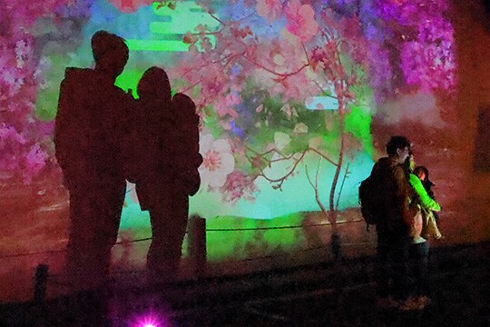 日本の伝統文化の真髄に触れる、この日だけの特別な「おもてなし」の数々