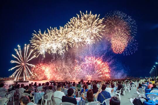 視界一杯に広がる大迫力の花火、その光と音の共演に感動