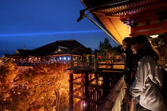 初めてはもちろん、何度訪れてもすばらしいと感じさせる世界遺産の醍醐味を、ゆったり拝観することで改めて実感。