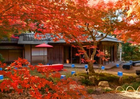 紅葉の高台寺2024 プレミアムアクセス Only for Amex