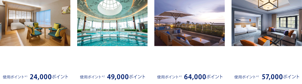 ポイント使用例