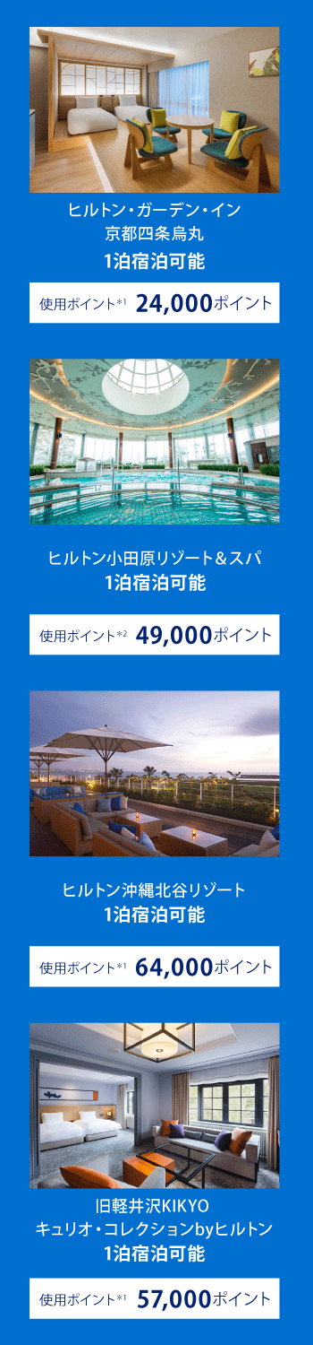 ポイント使用例