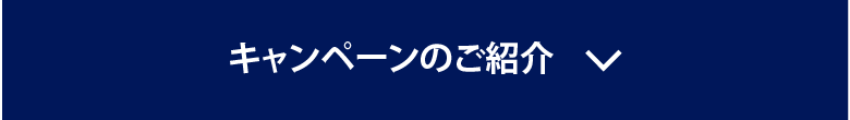 キャンペーンのご紹介